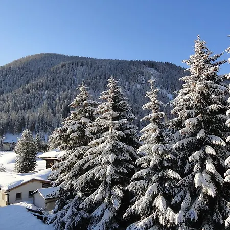 Riedwiese Davos