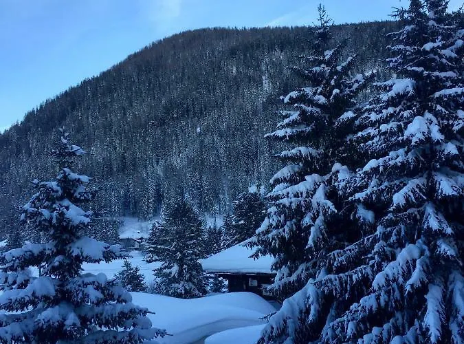 Riedwiese * دافوس