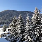 Riedwiese Davos